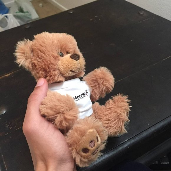 Brown Bear Plush Stuffed Animal - Picture 4 of 5